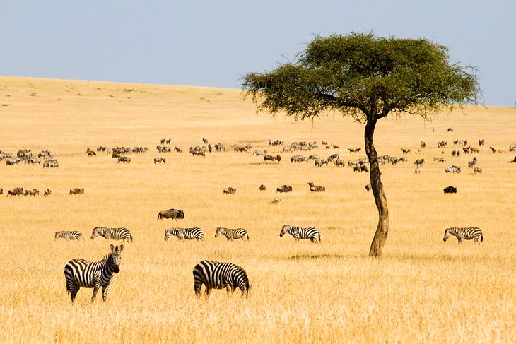 africa