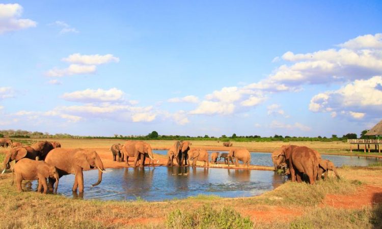 Tsavo East National Park