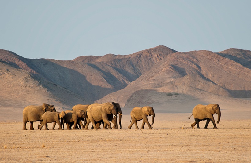 Africa