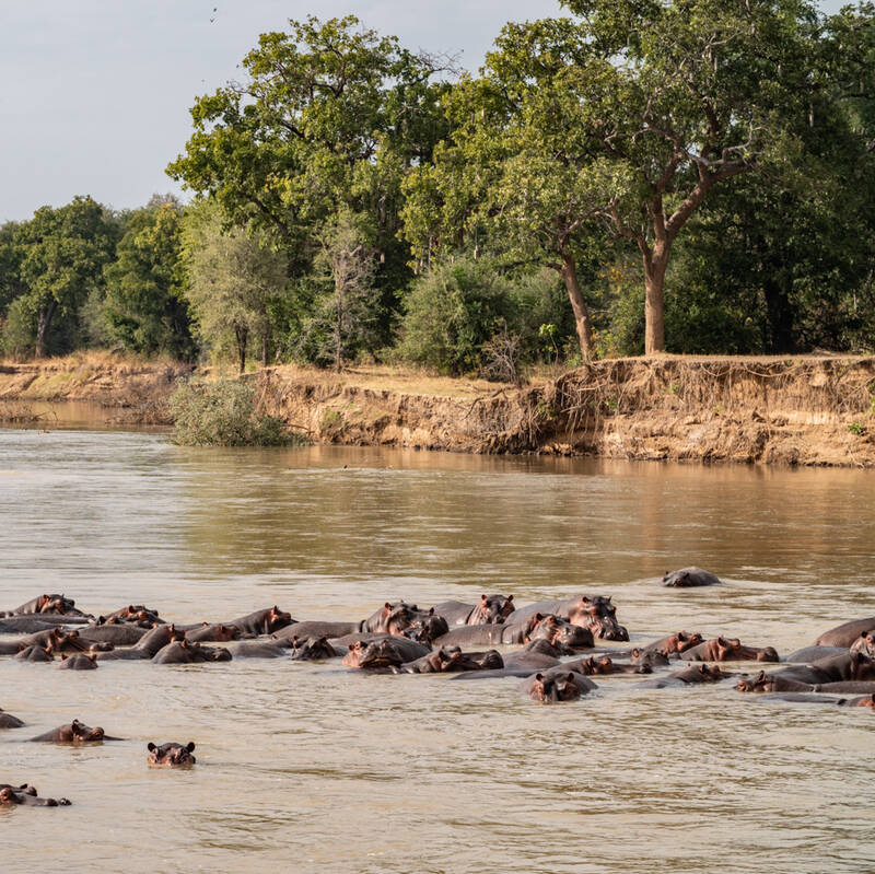 North Luangwa National Park
