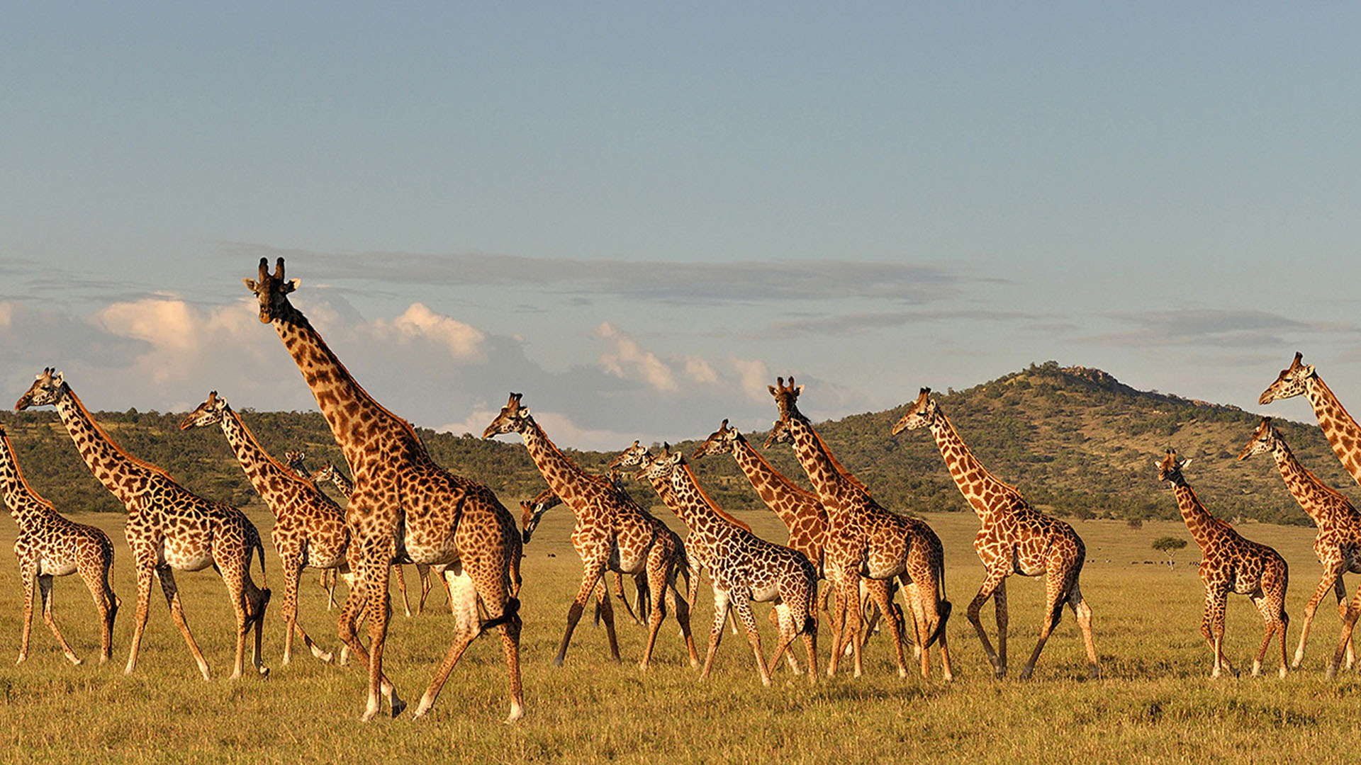 Manyara National Park