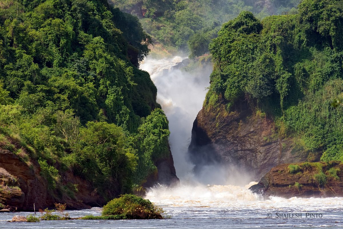 Africa