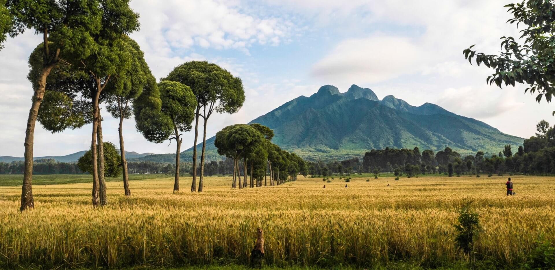 Africa