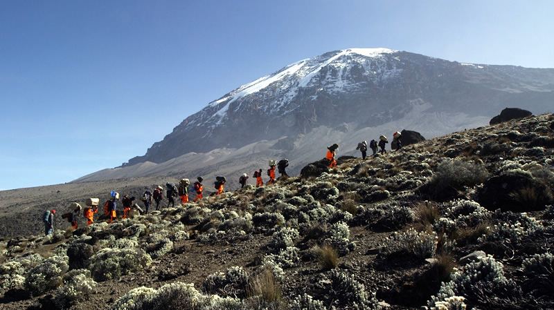 <p>Trekking Safaris</p>
