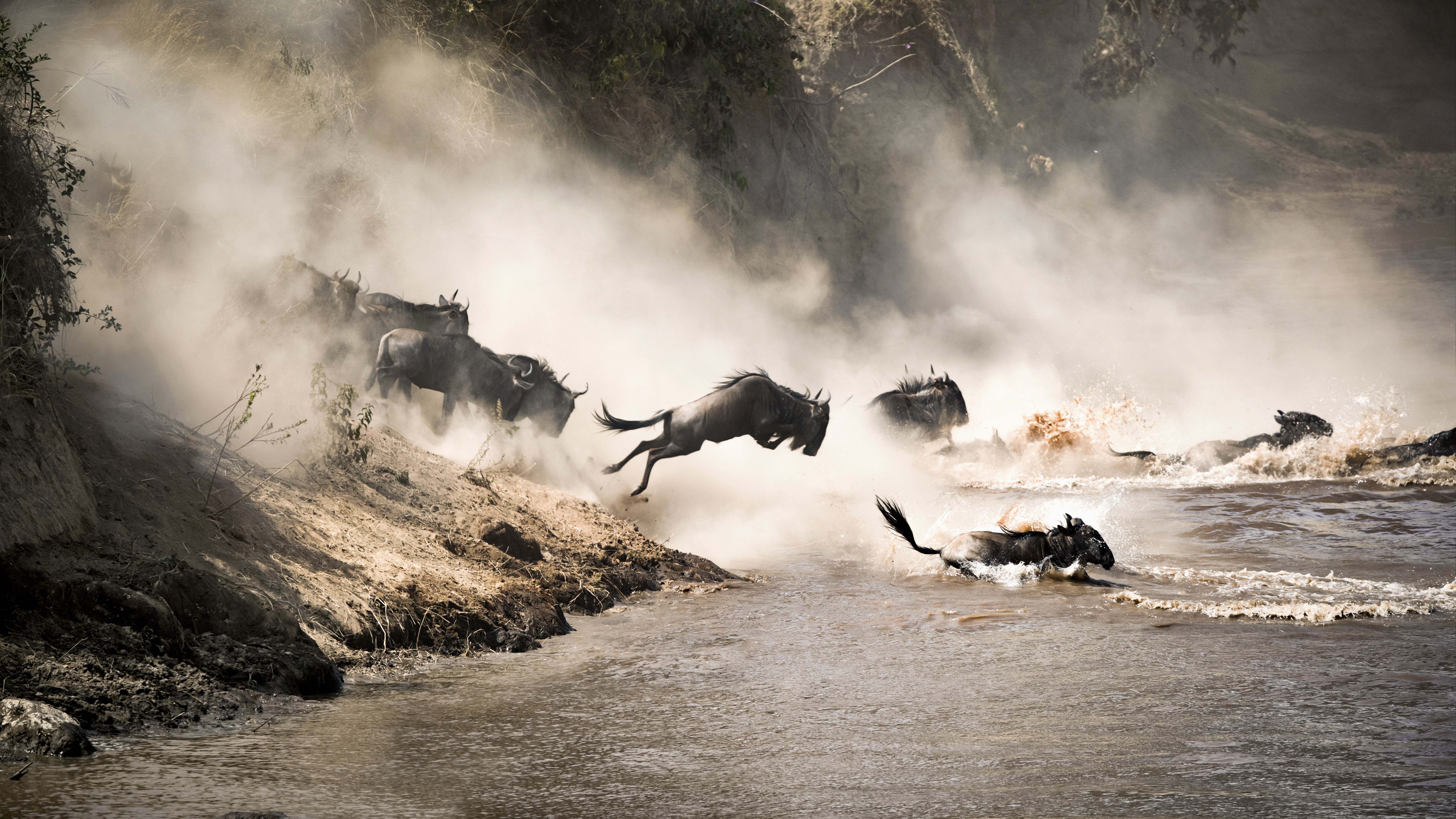 Luxury Holidays in Africa