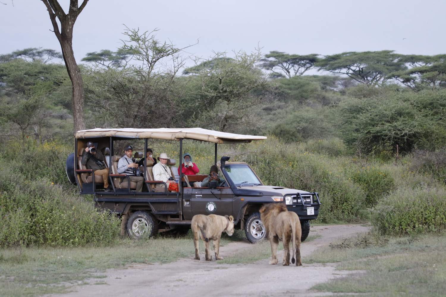 <p>The Ultimate Guide to Planning a Wildlife Safari in Tanzania</p>
