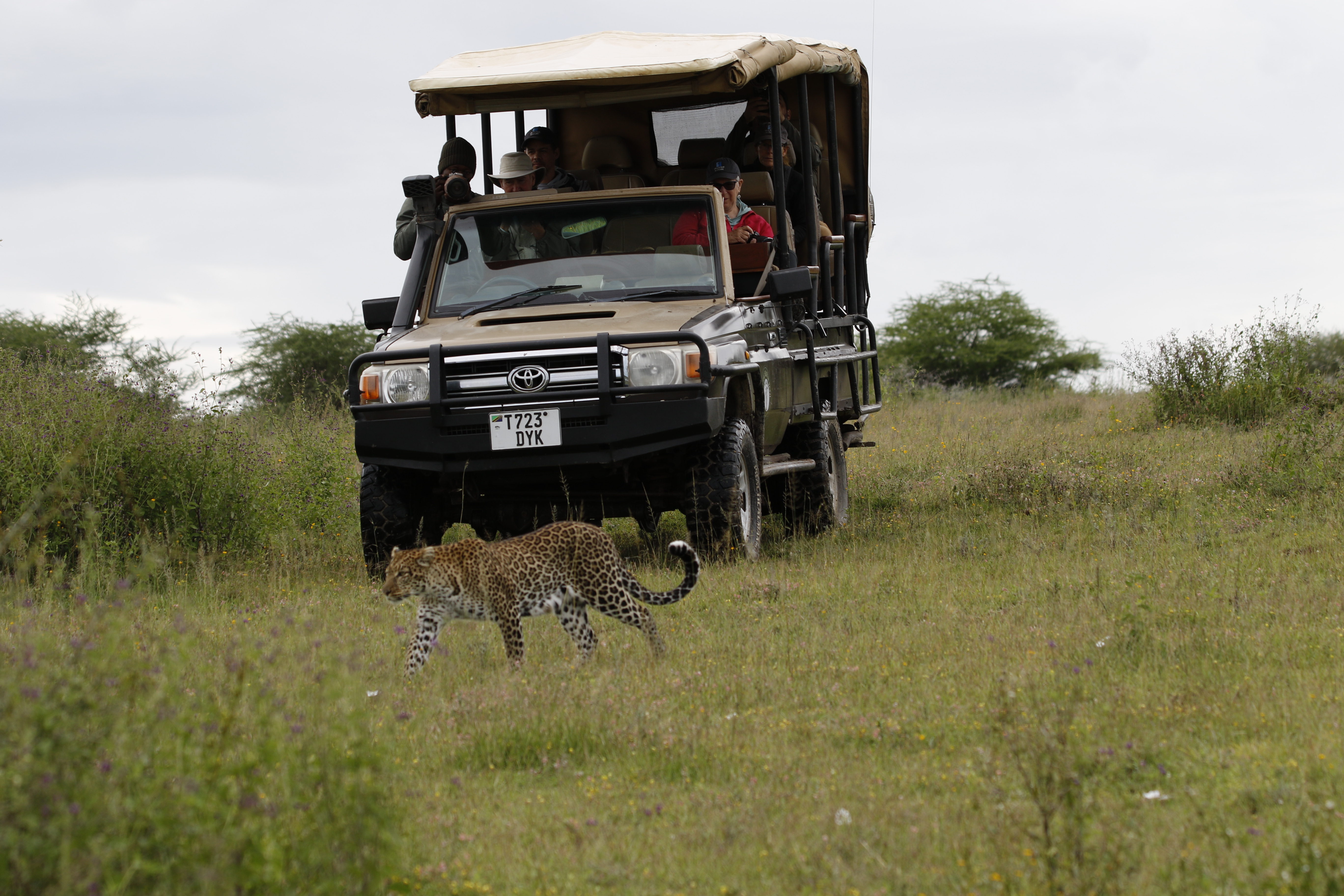 <p>Why Choose a Private Safari in Tanzania? Benefits, Costs & What’s Included</p>
